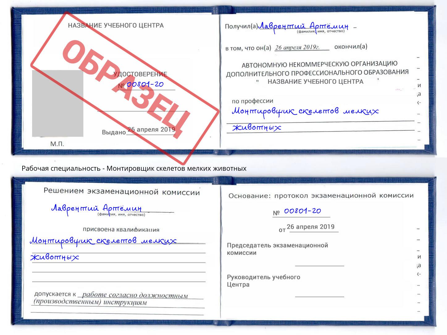 Монтировщик скелетов мелких животных Березники